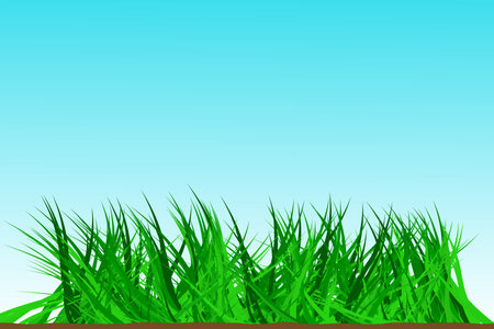 Green meadow isolated on blue white backgroundのイラスト素材
