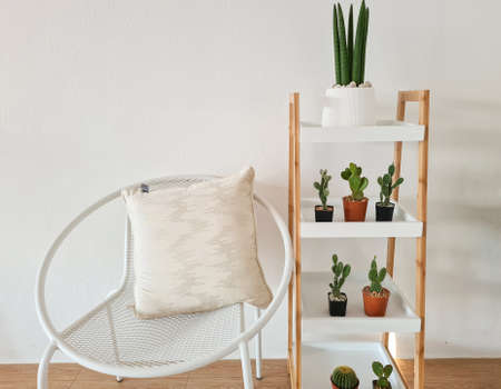 Chair with white pillows and a cactus shelfの写真素材