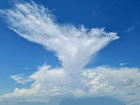The blue sky and water-like clouds burst out.の写真素材