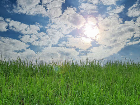 Green meadow with blue sky and clouds backgroundの写真素材