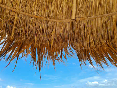 Grass roof and seaside sky view in summer.
