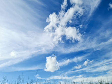The sky was blue with clouds and tall grass as if it was next to the sky.の写真素材