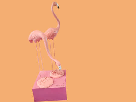 Pink flamingo on a isolated orange background.の写真素材
