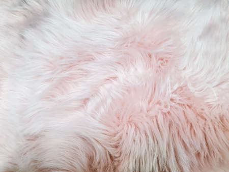 Soft, long, light pink fur. pink feathers for background or texture Fluffy fur.