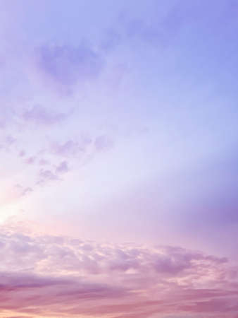 Pink purple evening sky. spring background world environment day conceptの写真素材