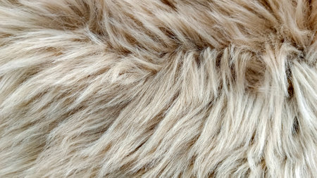 Close-up of furry carpet colored fur for texture or background