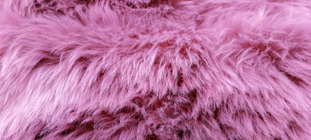 Light pink long fiber soft fur. Pink fur for background or texture.