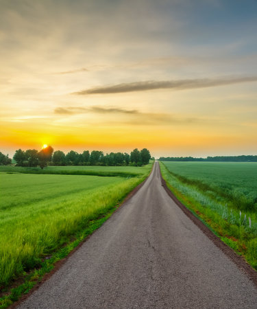 Straight country road and green farmland natural scenery at sunriseの素材