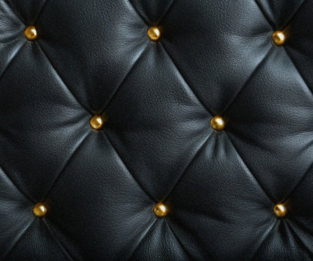 Elegant black leather upholstery with golden studsの素材