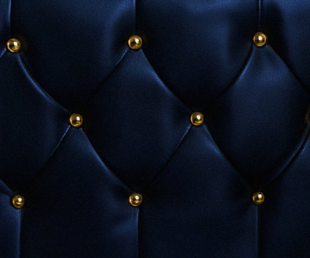 Elegant black leather upholstery with golden studsの素材