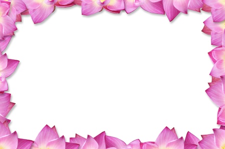 pink lotus for picture frame backgroundの写真素材