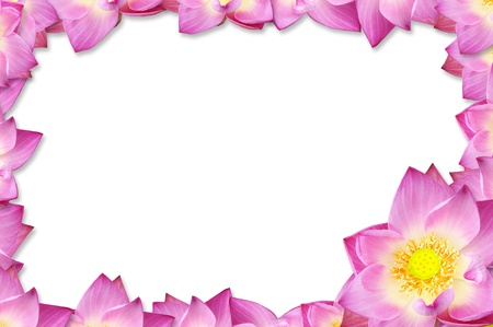 pink lotus for picture frame backgroundの写真素材