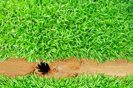 grass frame on wood hole の写真素材