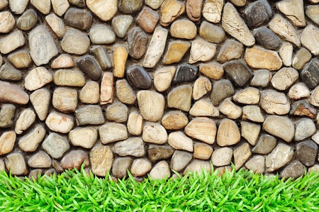 grass frame on rock wall の写真素材