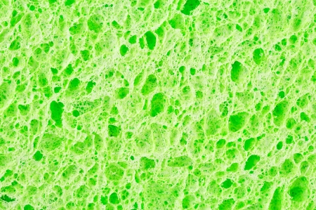 Sponge texture background の写真素材