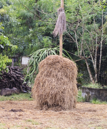 Haystack in countryside of Thailandの写真素材