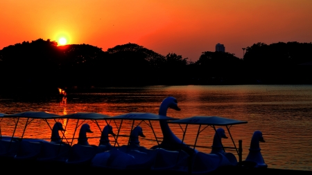Evening light in the parkの写真素材