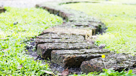 Brick walkway in garden with close up backgroundの写真素材