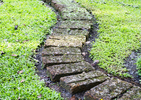S-curve with brick walkway in garden backgroundの写真素材