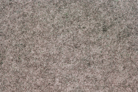 Gray carpet with textureの写真素材