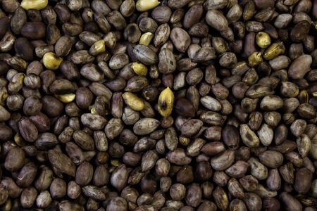 Peanut backgroundの写真素材