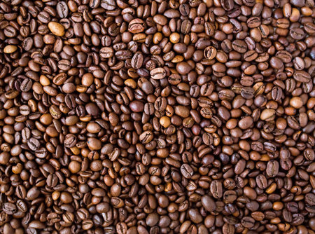 Coffee beans background. Close up of roasted coffee beans.の素材