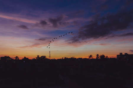 Sunset with birds