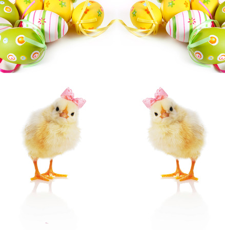 Cute Fluffy Chicks and Easter Eggsの写真素材