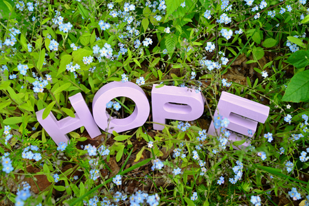 Hand-painted (light violet) HOPE word surrounded by forget-me-not flowers in a garden setting. Concept image for finding solutions for memory loss.の写真素材