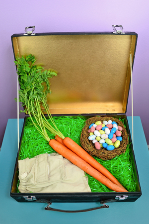 Fun concept image for what the Easter Bunny packs when going on vacation. Interior of craft suitcase box was spray painted in metallic gold.の写真素材
