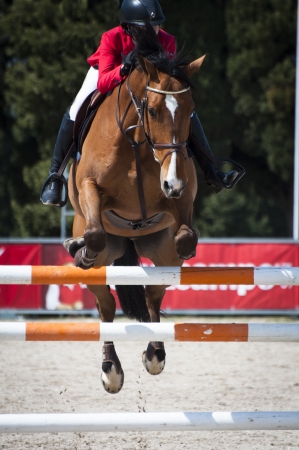 A show jumping horse and rider jumping a fence の写真素材