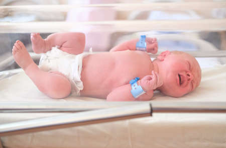 Newborn baby - a boy or a girl in a maternity hospital sleeps in a crib, concept - health care and medicine.の写真素材