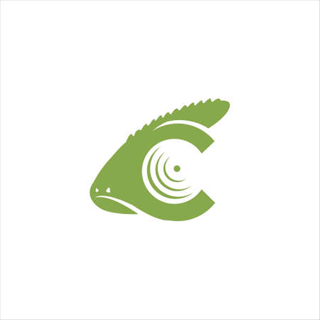 Gecko lizard  design vector image