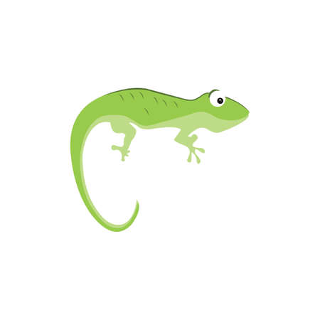 Gecko lizard  design vector image