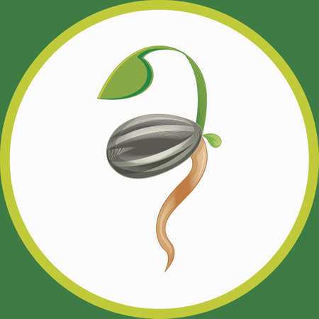 Simple sprouting seed drawing. Green cartoon sprout vector illustration.のイラスト素材