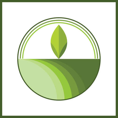 Simple sprouting seed drawing. Green cartoon sprout vector illustration.のイラスト素材