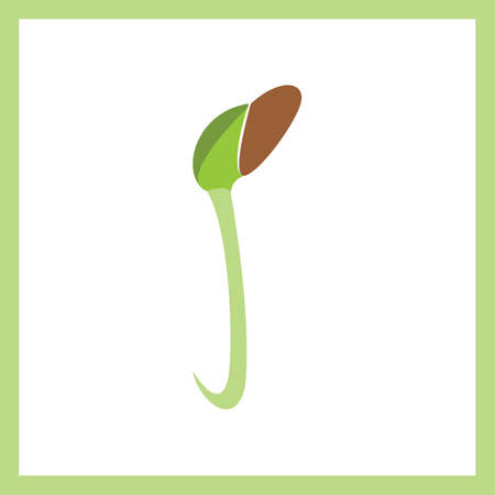 Small, leafy green seedlings on the ground. Vector drawing.のイラスト素材
