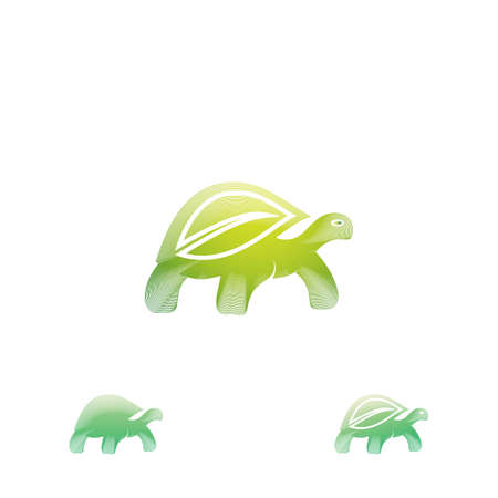 Turtle design logo vector. Turtle animal vectorのイラスト素材