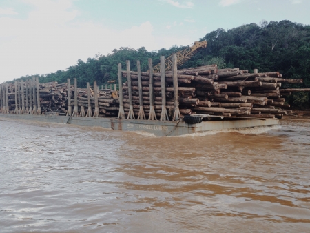 Wood for saleの素材