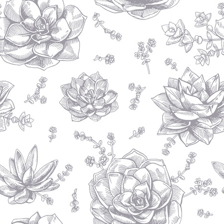ink succulents. Seamless pattern. graphic succulents on white background.のイラスト素材