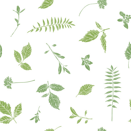 Hand drawn herbs. Seamless floral background.のイラスト素材