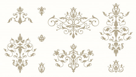 Set of ornaments. Decorative symmetrical element.のイラスト素材