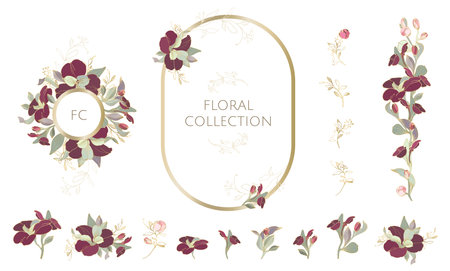 Floral decor collection. Oval frame, monogram frame and flower border.のイラスト素材