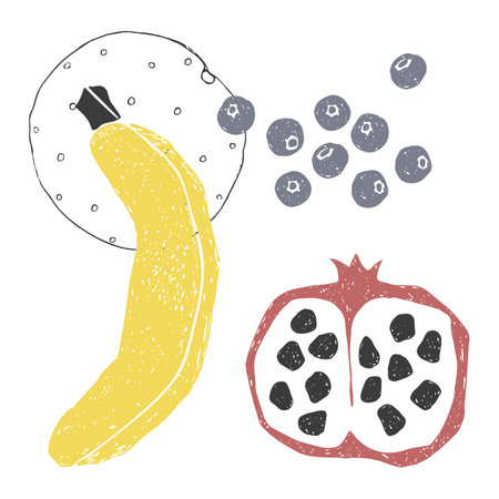 Set of doodle fruits and berries. Texture banana, orange, pomegranate and blueberry.のイラスト素材