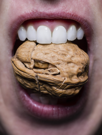Close-up of healthy teeth with a waltnutの写真素材