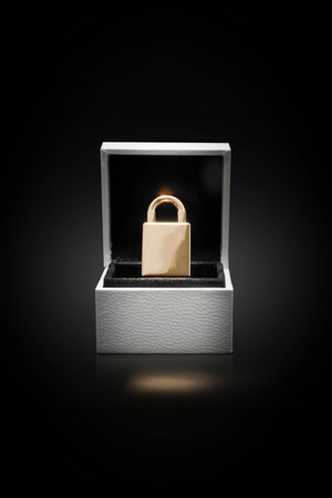 Safe lock in a jewelry box with black backgroundの写真素材