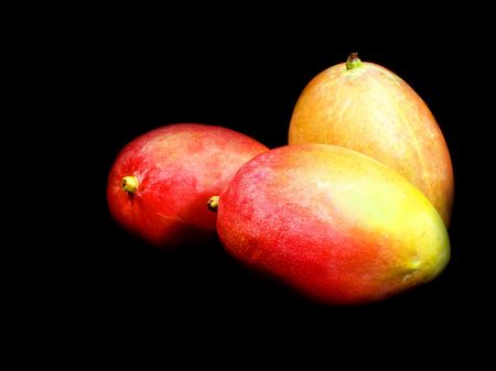 Three mango fruit isolated on a black background.の写真素材