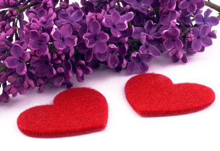 Bunch of lilac and two red hearts on white background.の写真素材