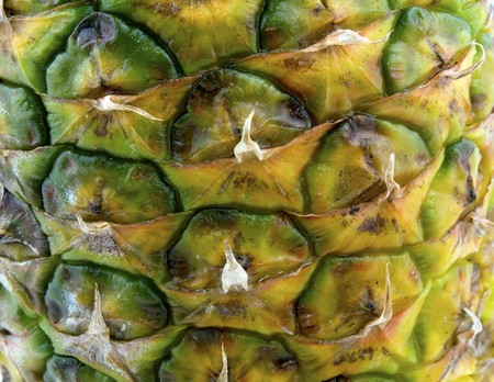 Closeup picture of fresh pineapple skin