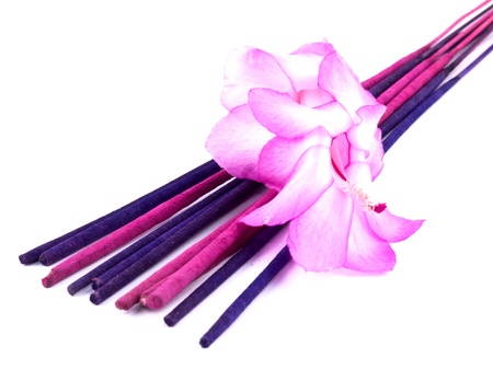 Aromatic purple incenses and pink christmas cactus flower on white backgroundの写真素材